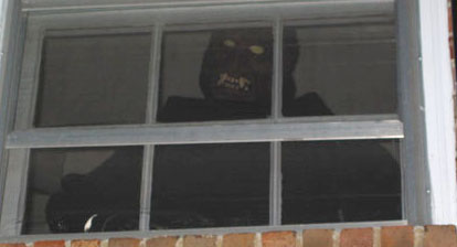 Watcher in the Window